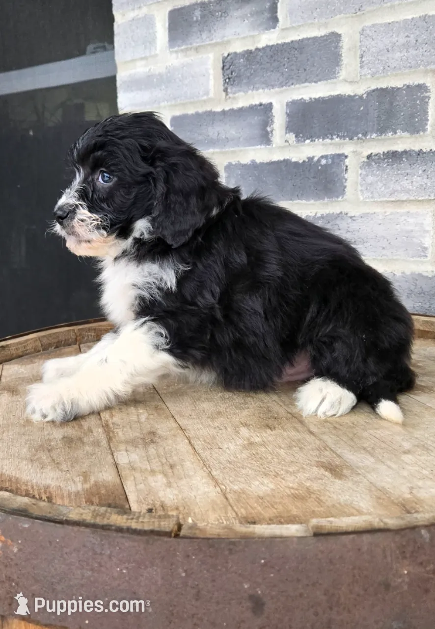 processed/e9df9cdc-d092-4453-8c93-b43ba803cecb/listing/655695a5-44d1-4428-abd8-2829ba7480b3/c48a8bc8-8612-4558-92d3-233d8dc7941f