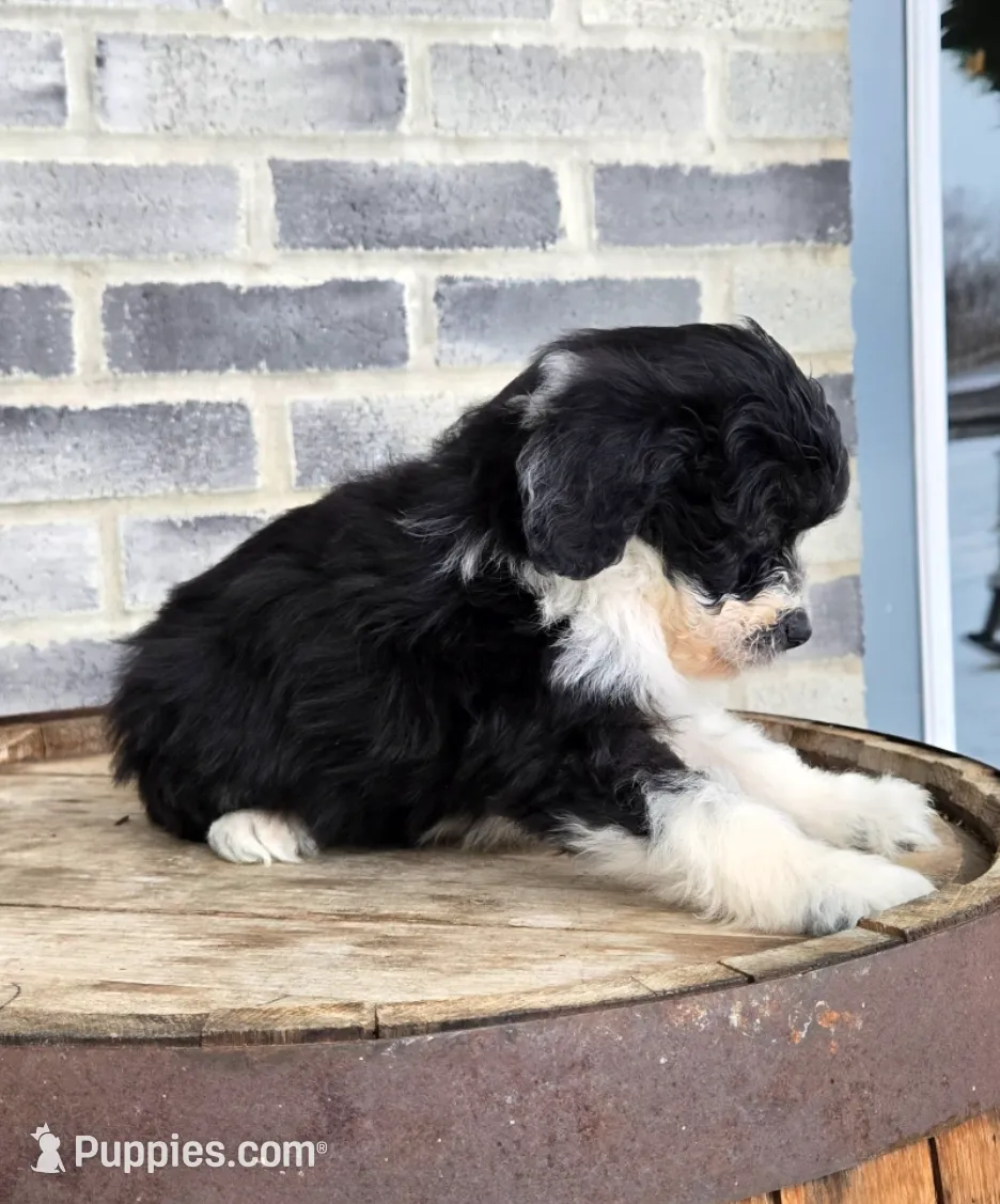 processed/e9df9cdc-d092-4453-8c93-b43ba803cecb/listing/655695a5-44d1-4428-abd8-2829ba7480b3/c7d36bb9-cf6d-457c-96a6-5d867217cd93