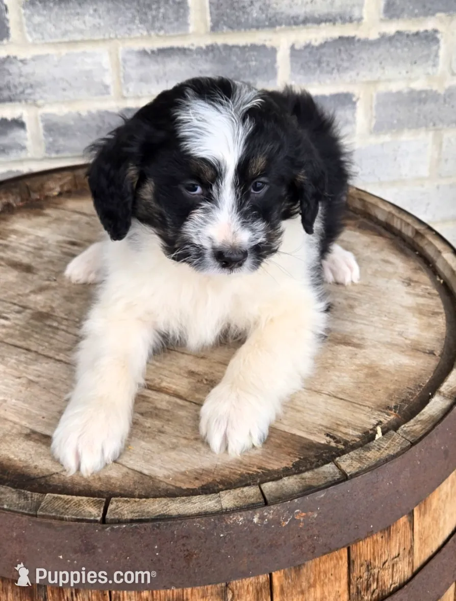 processed/e9df9cdc-d092-4453-8c93-b43ba803cecb/listing/890964ce-e452-490e-b4df-912033b25f32/0aa6f0bf-e6ac-4aac-8a23-4c0a2dba0b6e