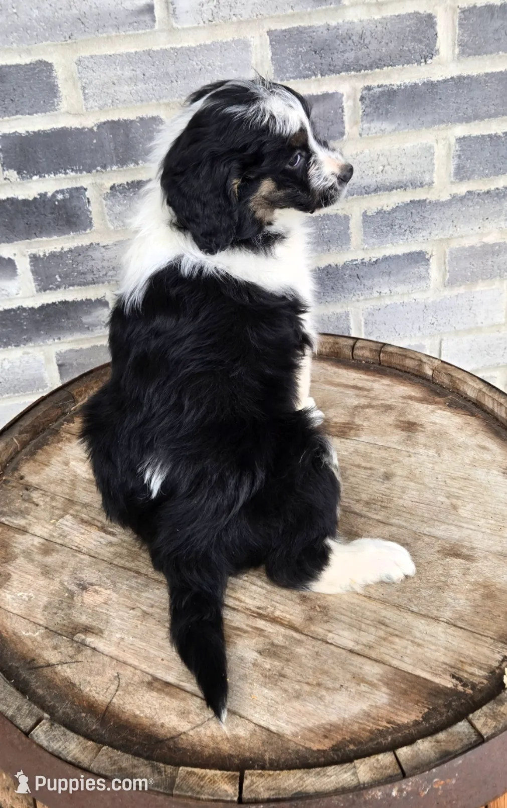 processed/e9df9cdc-d092-4453-8c93-b43ba803cecb/listing/890964ce-e452-490e-b4df-912033b25f32/1c058714-d077-40a6-b2bf-c00446f93774