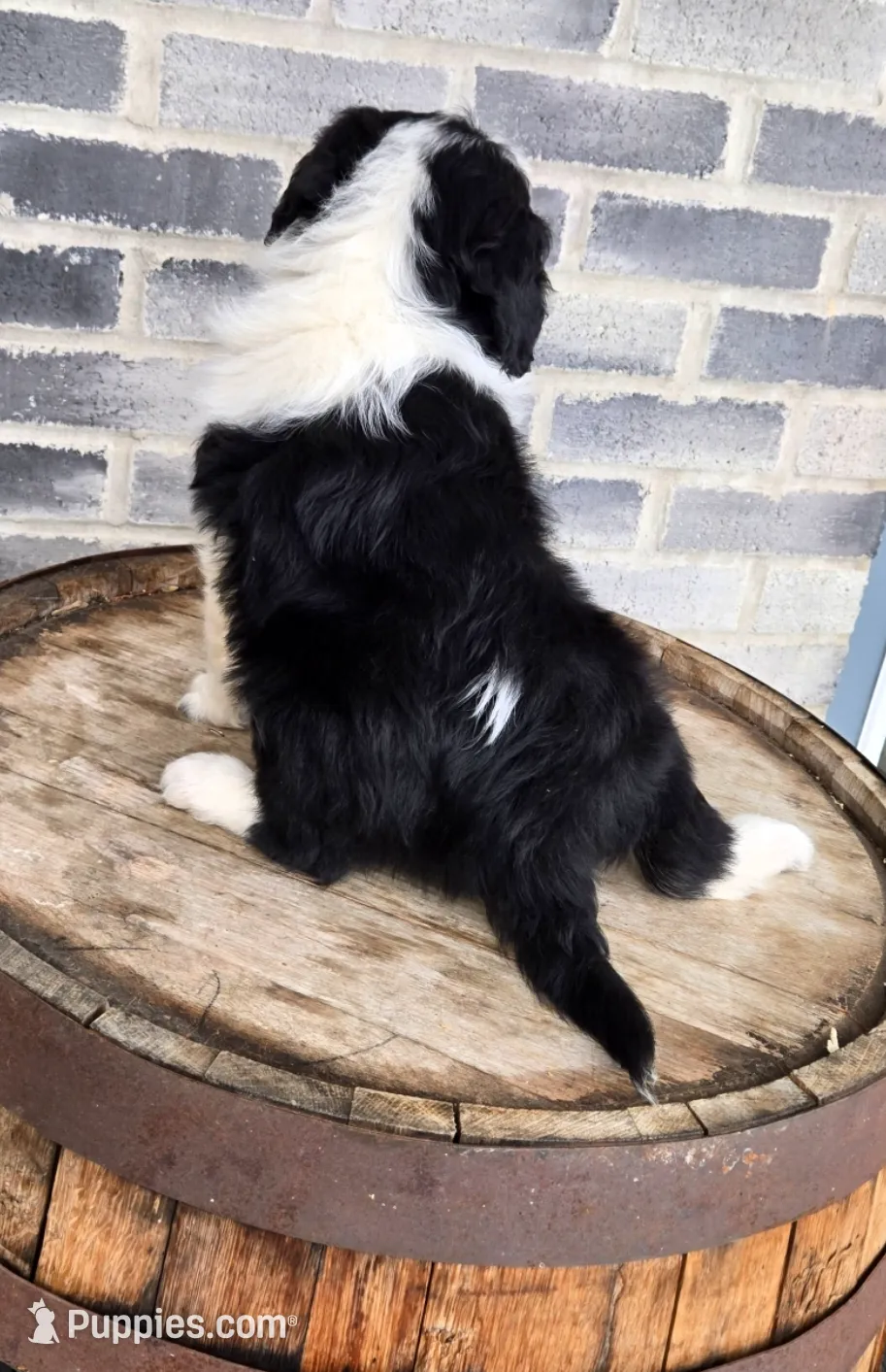 processed/e9df9cdc-d092-4453-8c93-b43ba803cecb/listing/890964ce-e452-490e-b4df-912033b25f32/2937e71e-e96e-41b9-bc61-1bbbf4689e81