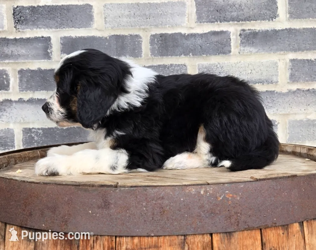 processed/e9df9cdc-d092-4453-8c93-b43ba803cecb/listing/890964ce-e452-490e-b4df-912033b25f32/6af09ee9-b592-4bb4-b0f8-96dad57aae36