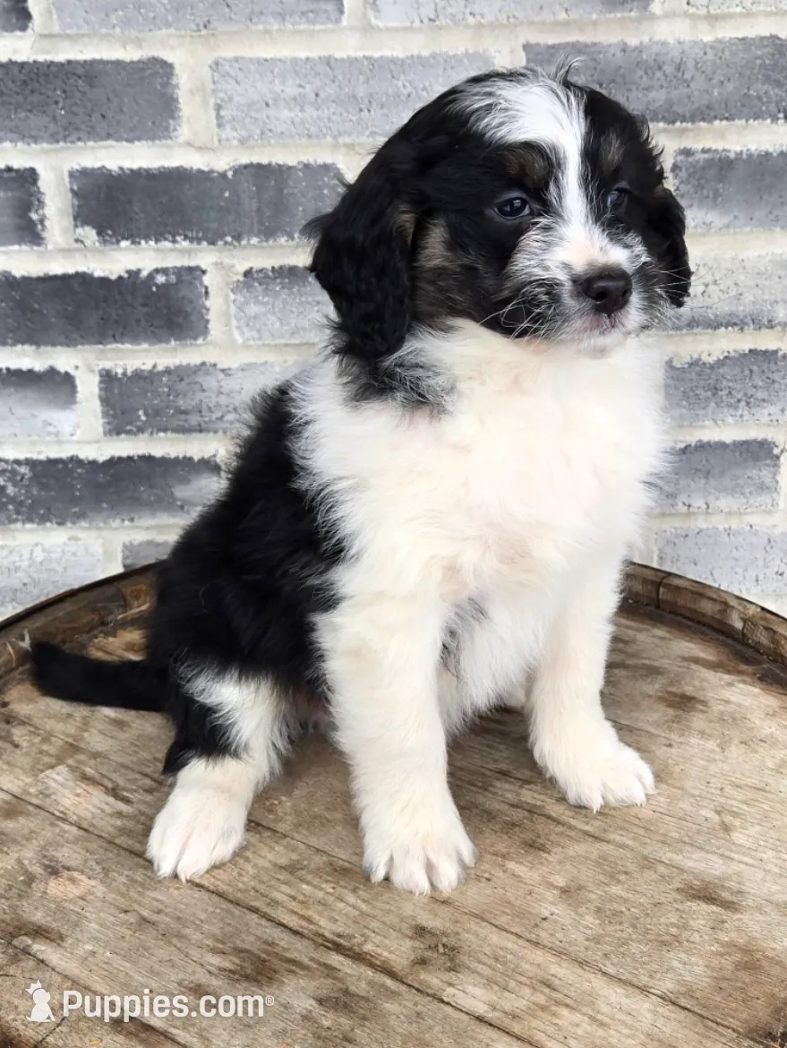 processed/e9df9cdc-d092-4453-8c93-b43ba803cecb/listing/890964ce-e452-490e-b4df-912033b25f32/9d442e43-8d8f-47f1-9fd6-b20cd20fb6f5