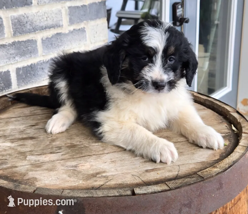 processed/e9df9cdc-d092-4453-8c93-b43ba803cecb/listing/890964ce-e452-490e-b4df-912033b25f32/bb8b5248-3af6-4b8a-a283-568518e92e88