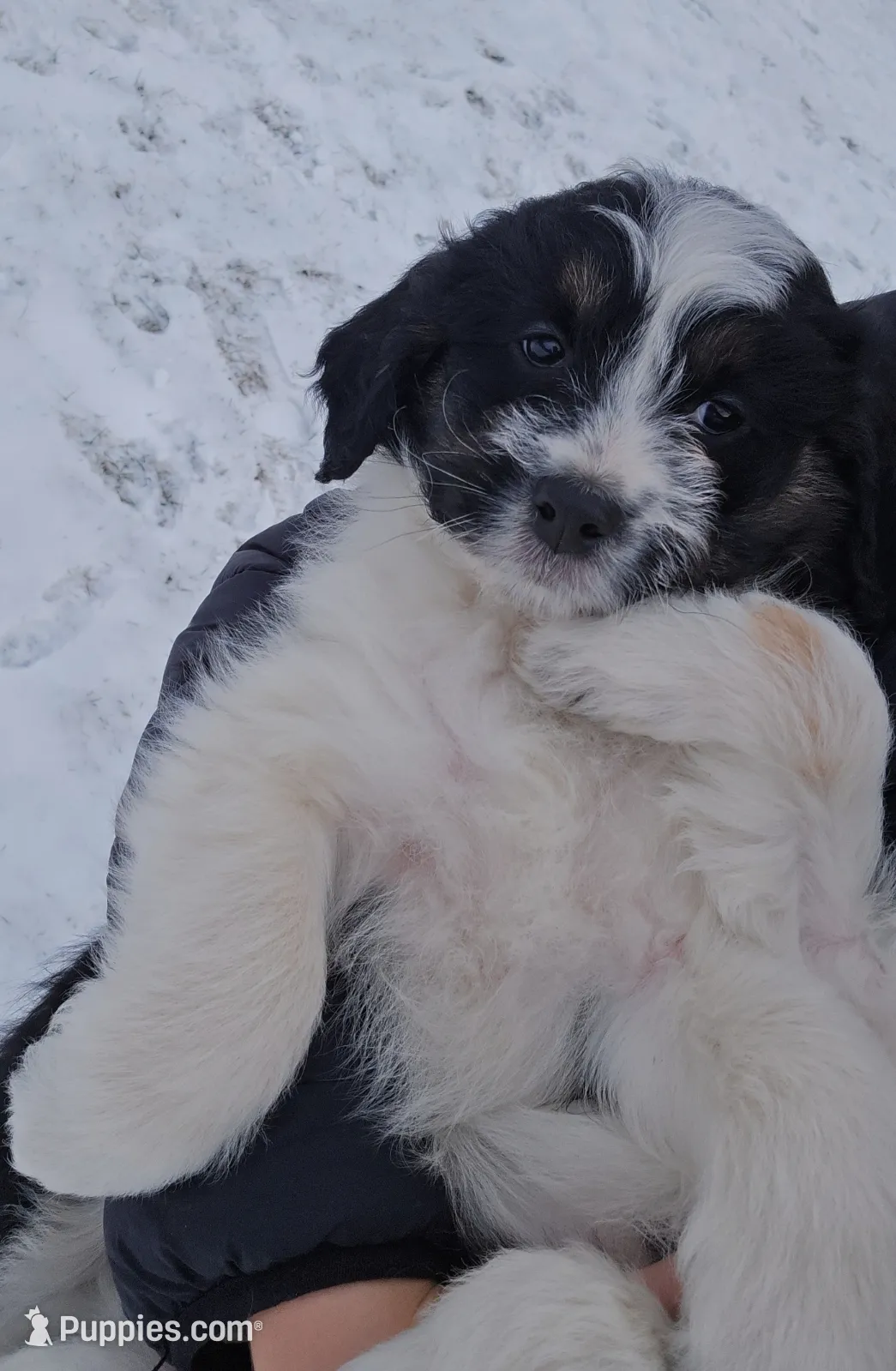 processed/e9df9cdc-d092-4453-8c93-b43ba803cecb/listing/890964ce-e452-490e-b4df-912033b25f32/bc7a1604-2340-406f-9535-97153612498b