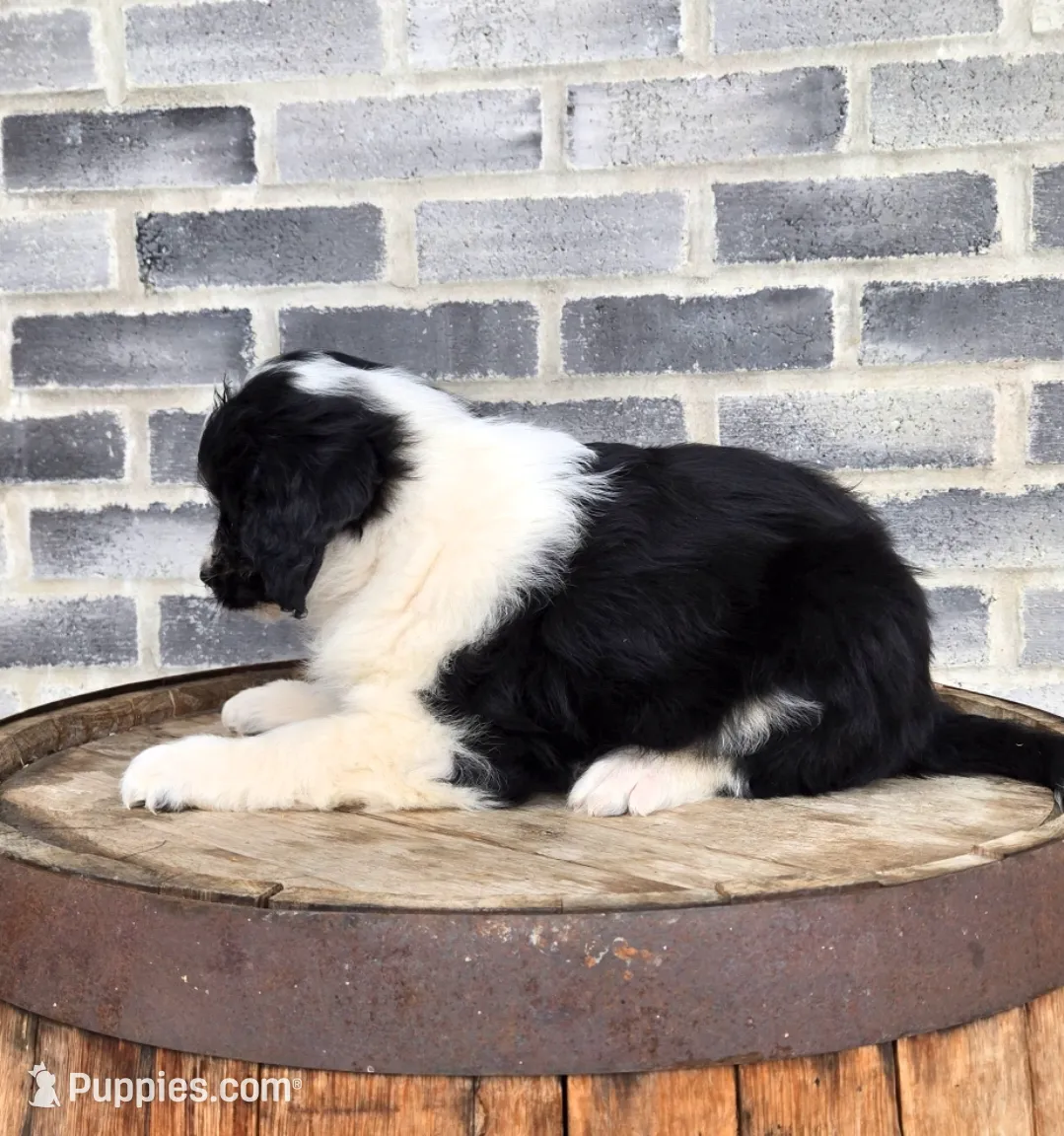 processed/e9df9cdc-d092-4453-8c93-b43ba803cecb/listing/890964ce-e452-490e-b4df-912033b25f32/ed3d1ab3-b30d-483c-8120-dd0be1cf085c