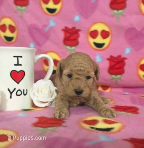 processed/e9df9cdc-d092-4453-8c93-b43ba803cecb/listing/e88fdc90-86fe-4d59-b82b-4c71b61cd23b/55b9de64-5c66-419d-aebf-2662b115c278