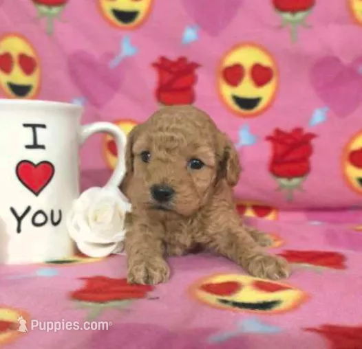 processed/e9df9cdc-d092-4453-8c93-b43ba803cecb/listing/e88fdc90-86fe-4d59-b82b-4c71b61cd23b/67ddce42-15c8-45a2-9892-2438fe2d0a56