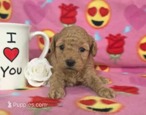 processed/e9df9cdc-d092-4453-8c93-b43ba803cecb/listing/e88fdc90-86fe-4d59-b82b-4c71b61cd23b/b46c6dfa-2e9a-44f3-8c96-42f666c166d4