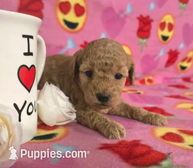 processed/e9df9cdc-d092-4453-8c93-b43ba803cecb/listing/e88fdc90-86fe-4d59-b82b-4c71b61cd23b/d8735ea3-c27f-4d04-bd45-8ef1ac4b3d1a