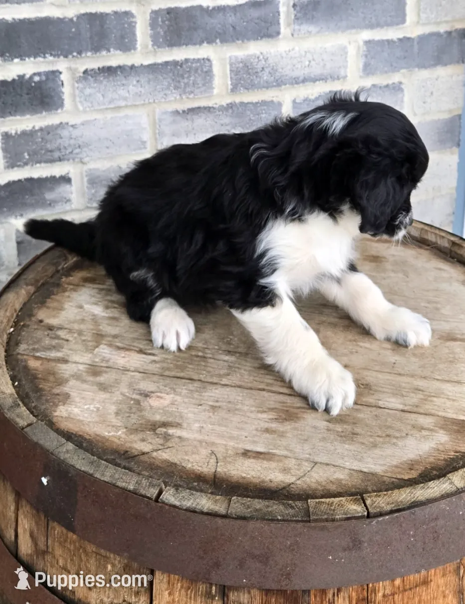 processed/e9df9cdc-d092-4453-8c93-b43ba803cecb/listing/f8a1e3c0-0111-4d6b-b5a1-56450e000f74/507f6aa8-71c6-4e18-bbed-99e4b1370530