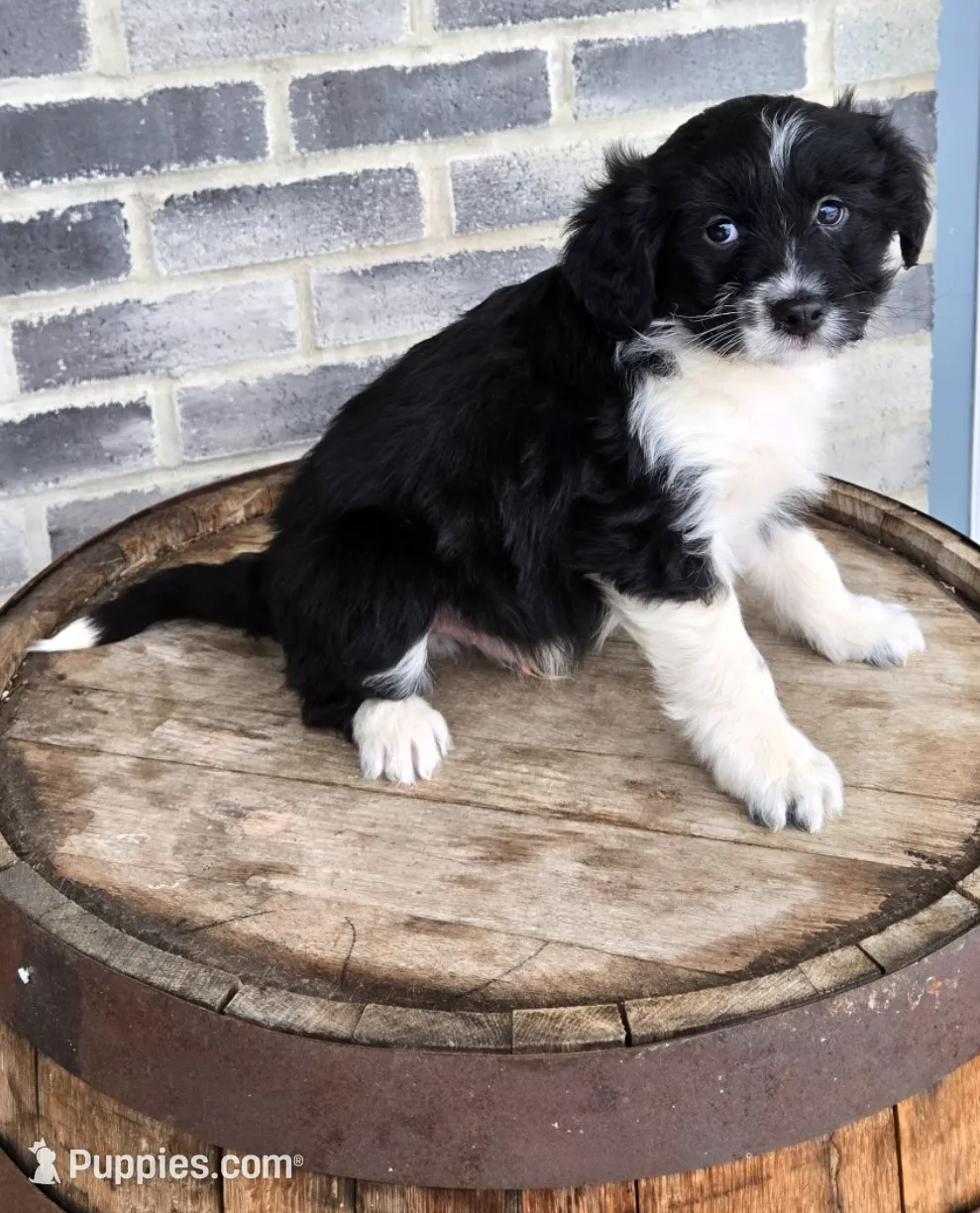 processed/e9df9cdc-d092-4453-8c93-b43ba803cecb/listing/f8a1e3c0-0111-4d6b-b5a1-56450e000f74/63c04b3e-b4ce-4448-8e32-33ec87df1ee3