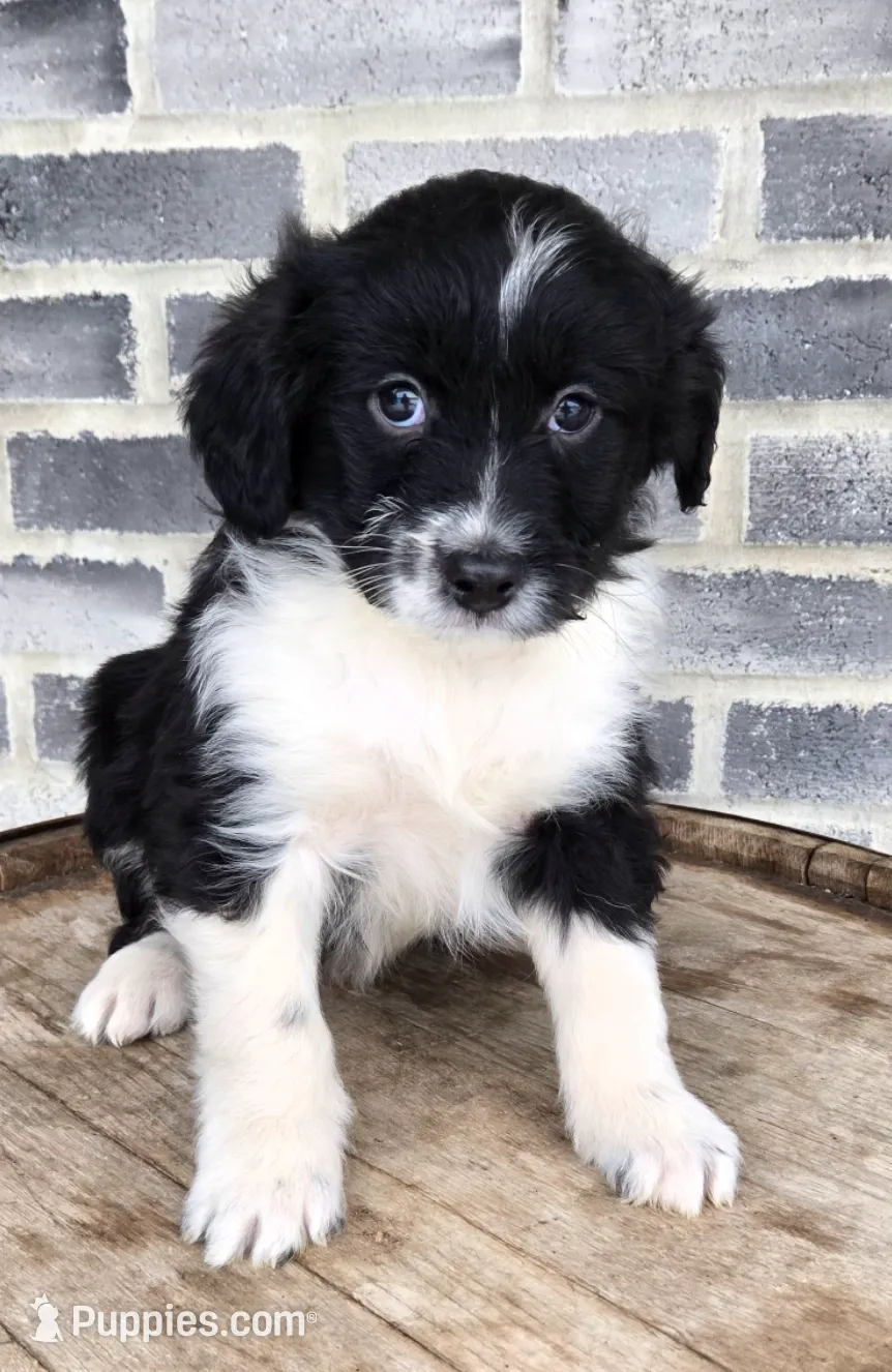 processed/e9df9cdc-d092-4453-8c93-b43ba803cecb/listing/f8a1e3c0-0111-4d6b-b5a1-56450e000f74/720041e8-cabc-4dcc-a12e-7060bc01e3fa