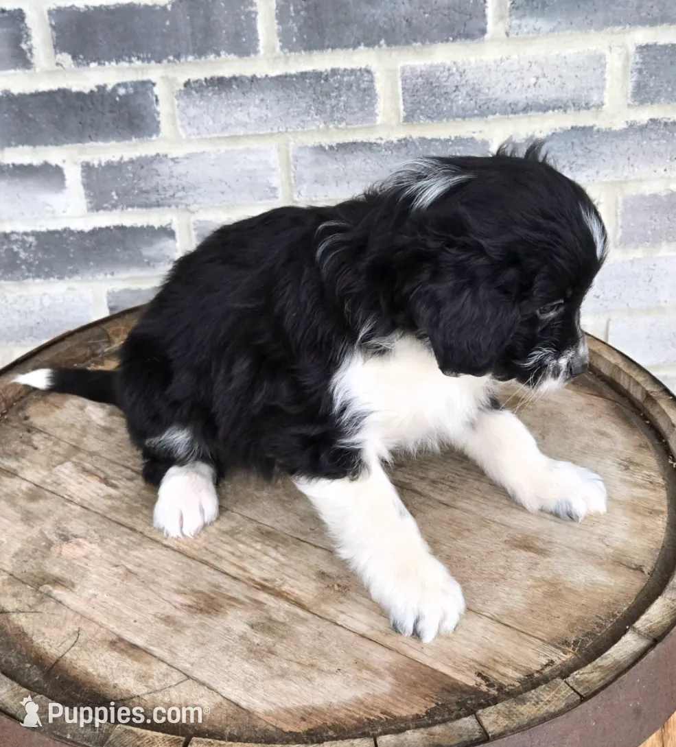 processed/e9df9cdc-d092-4453-8c93-b43ba803cecb/listing/f8a1e3c0-0111-4d6b-b5a1-56450e000f74/caad6561-b367-4078-8ea6-aed1dfd07265