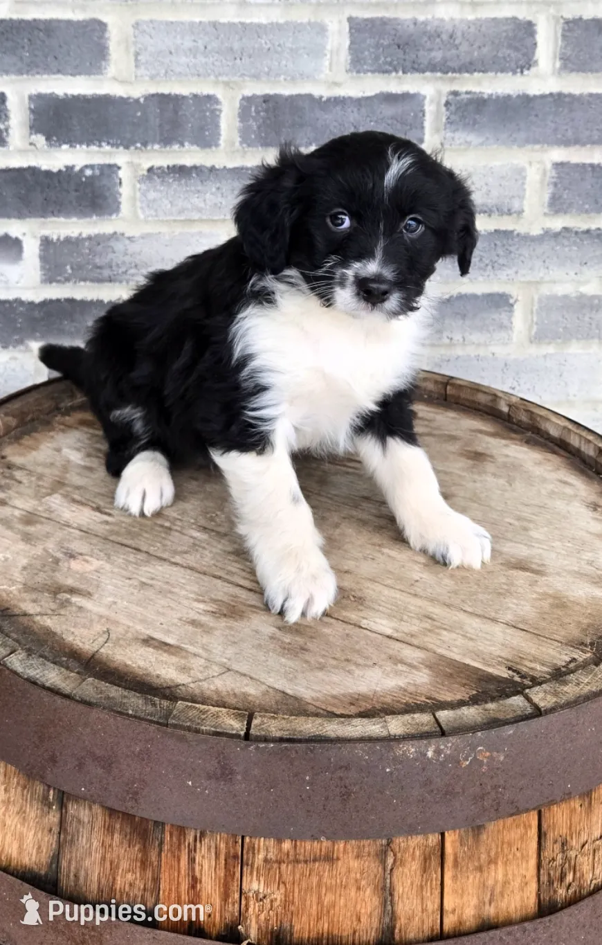 processed/e9df9cdc-d092-4453-8c93-b43ba803cecb/listing/f8a1e3c0-0111-4d6b-b5a1-56450e000f74/f2d96952-f210-48ca-9489-f712eade0d39