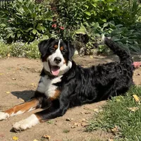 processed/e9e2a4e4-3a87-478f-ad5a-bb885b9caa36/facility/26fa25c0-7a47-440e-b81e-c236ba0a6cb0