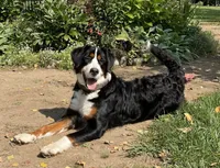 processed/e9e2a4e4-3a87-478f-ad5a-bb885b9caa36/facility/26fa25c0-7a47-440e-b81e-c236ba0a6cb0