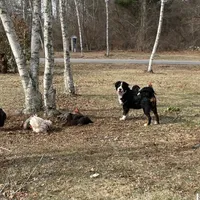 processed/e9e2a4e4-3a87-478f-ad5a-bb885b9caa36/facility/68f636b5-ecfc-4a98-9153-de16d8be5187