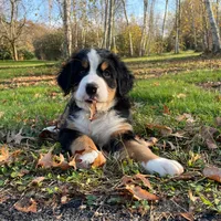 processed/e9e2a4e4-3a87-478f-ad5a-bb885b9caa36/facility/97562945-b124-4d6b-8b8c-004ff2138883