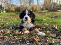 processed/e9e2a4e4-3a87-478f-ad5a-bb885b9caa36/facility/97562945-b124-4d6b-8b8c-004ff2138883