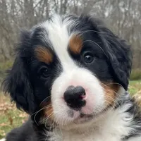 processed/e9e2a4e4-3a87-478f-ad5a-bb885b9caa36/facility/97ab7bf4-a454-4c81-8dd0-1aab4dc09eee