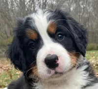 processed/e9e2a4e4-3a87-478f-ad5a-bb885b9caa36/facility/97ab7bf4-a454-4c81-8dd0-1aab4dc09eee