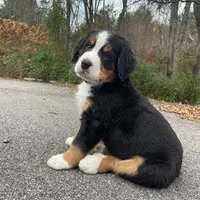 processed/e9e2a4e4-3a87-478f-ad5a-bb885b9caa36/facility/b09a69a9-25ba-4732-8318-b4a8db8056a1