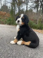 processed/e9e2a4e4-3a87-478f-ad5a-bb885b9caa36/facility/b09a69a9-25ba-4732-8318-b4a8db8056a1