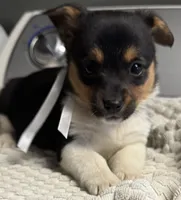 processed/e9e51f89-e12d-4817-b500-b0d908ab8aac/listing/4b0d2c4f-02e0-413b-a23b-c1a6ef796230/0579fed3-c3f6-4559-9a23-31e9c779006b