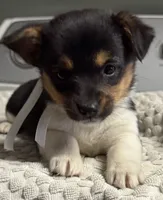 processed/e9e51f89-e12d-4817-b500-b0d908ab8aac/listing/4b0d2c4f-02e0-413b-a23b-c1a6ef796230/2b1ece60-918f-47c0-af9d-d7407619a5a5