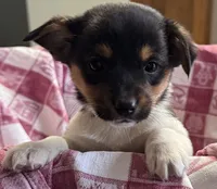 processed/e9e51f89-e12d-4817-b500-b0d908ab8aac/listing/4b0d2c4f-02e0-413b-a23b-c1a6ef796230/2bba7167-4b1a-4cb1-9f1c-230202346a17