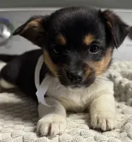 processed/e9e51f89-e12d-4817-b500-b0d908ab8aac/listing/4b0d2c4f-02e0-413b-a23b-c1a6ef796230/84120f53-94dc-4c48-85f6-ffec5d23017d