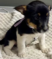 processed/e9e51f89-e12d-4817-b500-b0d908ab8aac/listing/7b45b8d4-7ff6-46b2-8585-0a9f0a2c7ed0/0610b278-109f-4948-a81c-cb83aec2ac4f