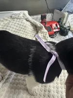 processed/e9e51f89-e12d-4817-b500-b0d908ab8aac/listing/7b45b8d4-7ff6-46b2-8585-0a9f0a2c7ed0/185af57d-129b-4fbc-9bce-ed1ecea0854a