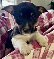 processed/e9e51f89-e12d-4817-b500-b0d908ab8aac/listing/7b45b8d4-7ff6-46b2-8585-0a9f0a2c7ed0/405c547c-c5a3-41d9-ad85-a8c92bbfcd79