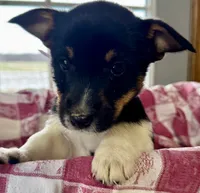 processed/e9e51f89-e12d-4817-b500-b0d908ab8aac/listing/7b45b8d4-7ff6-46b2-8585-0a9f0a2c7ed0/871c64af-a640-4c9e-aab9-d151a37e9c23