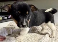 processed/e9e51f89-e12d-4817-b500-b0d908ab8aac/listing/7b45b8d4-7ff6-46b2-8585-0a9f0a2c7ed0/a895f154-7abb-49f3-920e-f15287aa72f0