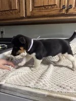 processed/e9e51f89-e12d-4817-b500-b0d908ab8aac/listing/7b45b8d4-7ff6-46b2-8585-0a9f0a2c7ed0/e3e0bc1b-c954-41fa-9c24-e07fd6509a1f