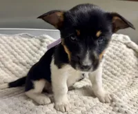 processed/e9e51f89-e12d-4817-b500-b0d908ab8aac/listing/7b45b8d4-7ff6-46b2-8585-0a9f0a2c7ed0/ed90374a-12d0-4d9c-abe8-278e9df5fddf