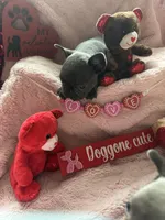 processed/ea018a7f-3844-4573-b171-909b353e3375/listing/b5335bdb-596c-4988-b9ff-1fad39e0b170/af548bea-bebc-4397-ad37-989bfd545a56