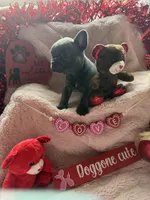 processed/ea018a7f-3844-4573-b171-909b353e3375/listing/b5335bdb-596c-4988-b9ff-1fad39e0b170/f8df09cc-7f4f-4618-80a5-f604510c0f87