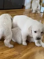 processed/ea068f01-14dc-4188-8cfc-ddf42a4f16d8/facility/069e2fbd-4ee5-4b3b-842b-420772e681ef