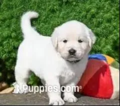 processed/ea068f01-14dc-4188-8cfc-ddf42a4f16d8/facility/2eae41ae-7252-4379-be1d-8bc6852bb77a