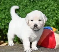 processed/ea068f01-14dc-4188-8cfc-ddf42a4f16d8/facility/2eae41ae-7252-4379-be1d-8bc6852bb77a