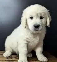 processed/ea068f01-14dc-4188-8cfc-ddf42a4f16d8/facility/87975873-3990-48d8-8cee-f88e4038653c