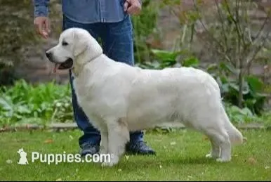 processed/ea068f01-14dc-4188-8cfc-ddf42a4f16d8/facility/a581c313-9388-4378-b5a5-2c67ef1365dd