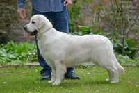 processed/ea068f01-14dc-4188-8cfc-ddf42a4f16d8/facility/a581c313-9388-4378-b5a5-2c67ef1365dd