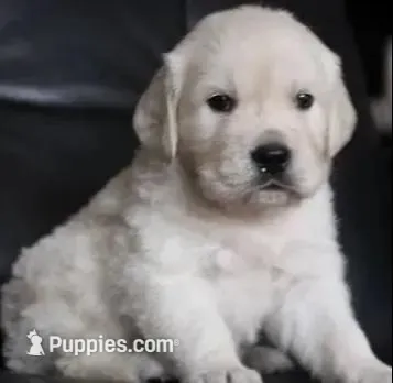 processed/ea068f01-14dc-4188-8cfc-ddf42a4f16d8/facility/a6392cd6-8582-4d85-b797-c22547c5c659