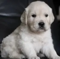 processed/ea068f01-14dc-4188-8cfc-ddf42a4f16d8/facility/a6392cd6-8582-4d85-b797-c22547c5c659