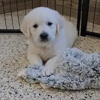 processed/ea068f01-14dc-4188-8cfc-ddf42a4f16d8/facility/c47d9b76-b68b-4227-8f8e-b7919a3fc845